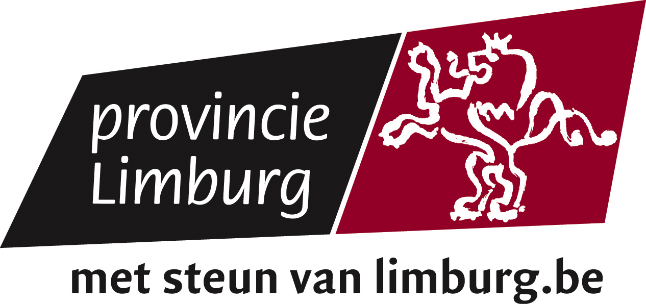 pl_logo_msv